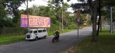 Greve em Imagens